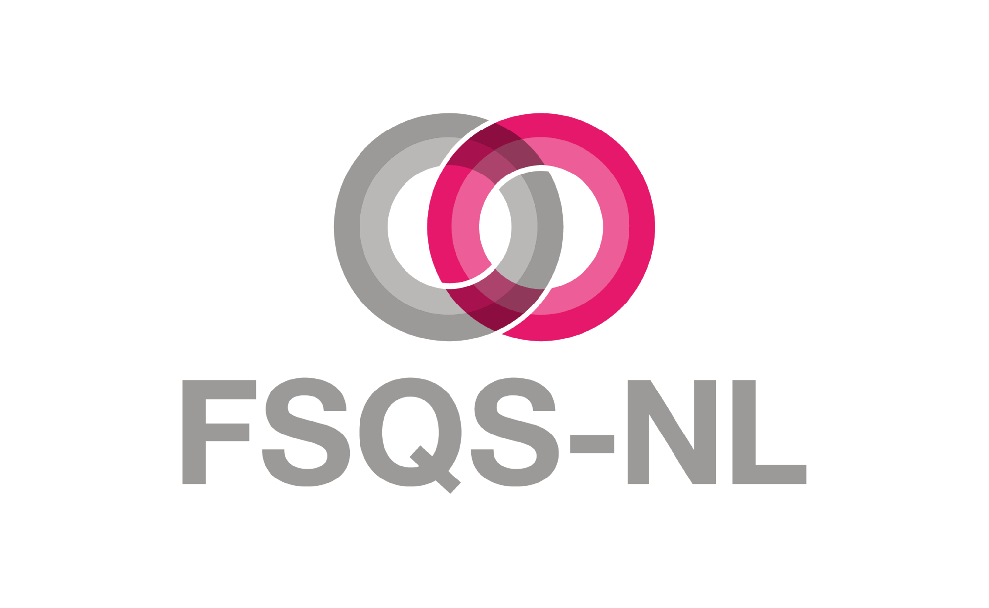 Website header_FSQS-NL